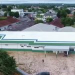 Homem morre após ser atacado por abelhas africanas no interior do Amazonas