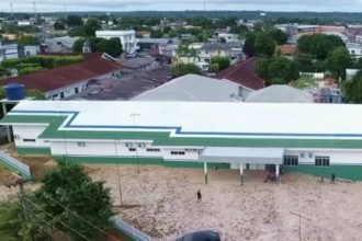 Homem morre após ser atacado por abelhas africanas no interior do Amazonas