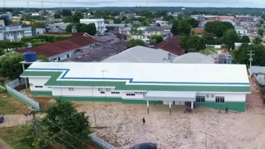 Homem morre após ser atacado por abelhas africanas no interior do Amazonas