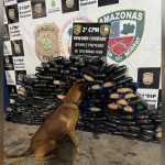 Homem é preso com 226 quilos de drogas escondidos em piso de frigorífico de barco no AM