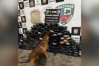 Homem é preso com 226 quilos de drogas escondidos em piso de frigorífico de barco no AM