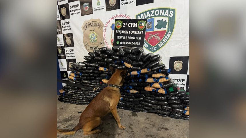 Homem é preso com 226 quilos de drogas escondidos em piso de frigorífico de barco no AM