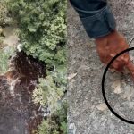 Vídeo: Cachoeira interditada em Presidente Figueiredo