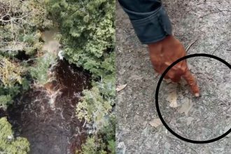 Vídeo: Cachoeira interditada em Presidente Figueiredo