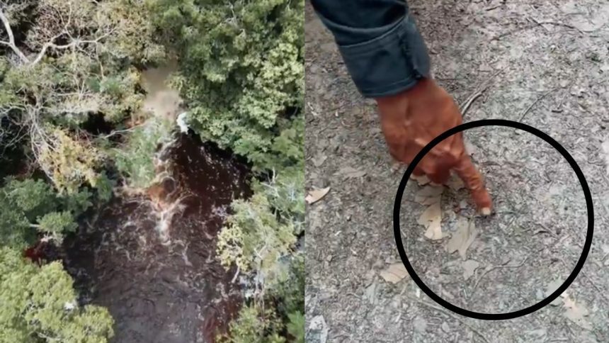 Vídeo: Cachoeira interditada em Presidente Figueiredo