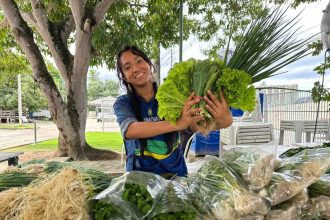 Feiras de Produtos Regionais ocorrem em 11 locais de Manaus nesta semana