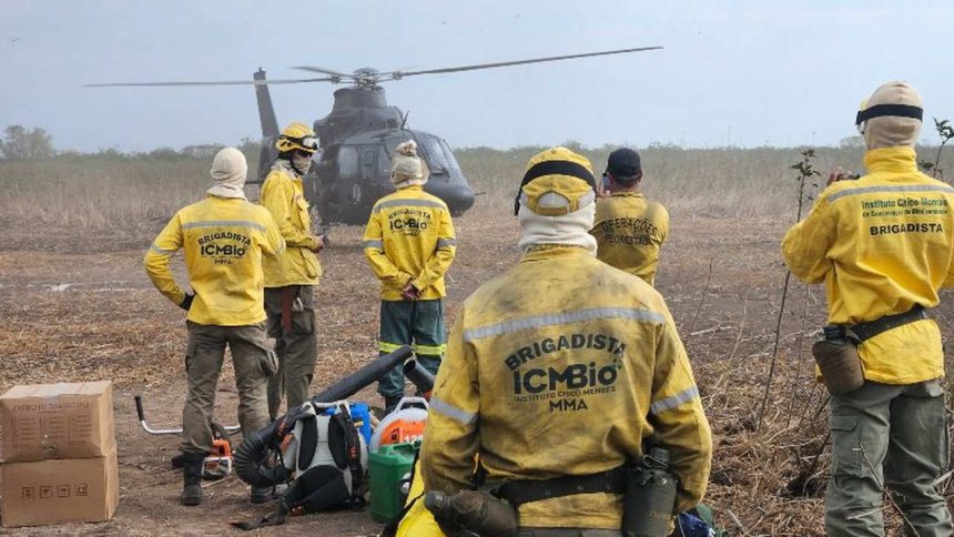 Brigadistas do ICMBio, com uniformes amarelos, observam um helicóptero durante operação de combate a incêndios florestais.