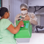 Castração gratuita de cães e gatos pode ser agendada por telefone em Manaus