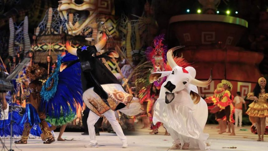 Dançarinos vestidos como bois durante o Festival Folclórico de Parintins, com figurinos elaborados e penas vibrantes.