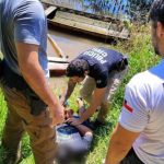 Pai encontra filha PcD chorando após ser abusada por primo no Amazonas