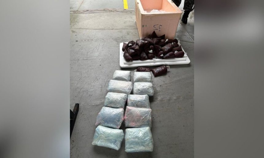 Foto de apreensão de drogas: 10 tabletes de entorpecentes envoltos em plástico transparente e outros pacotes menores.