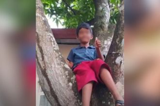 Menino sorridente sentado em uma árvore.