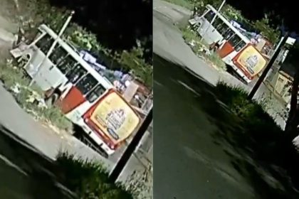 Ônibus branco e vermelho, com publicidade, colide com uma árvore em um canteiro central.