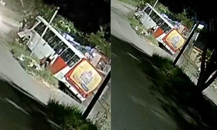 Ônibus branco e vermelho, com publicidade, colide com uma árvore em um canteiro central.