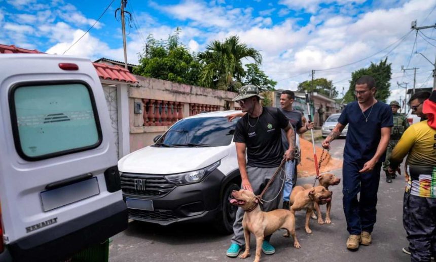 Policiais apreendem cães da raça Pit Bull em um canil clandestino. Os animais estavam em condições precárias.