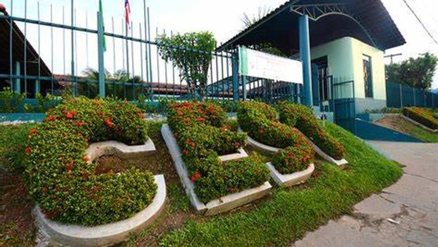 UEA oferta Especialização em Metodologia do Ensino da Língua Portuguesa, em Tefé