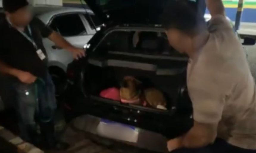 Um homem tenta tirar um cachorro de dentro do porta-malas de um carro durante uma perseguição policial.