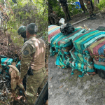 Imagem colorida mostra fotos do momento em que policiais encontrar drogas abandonadas em área de mata