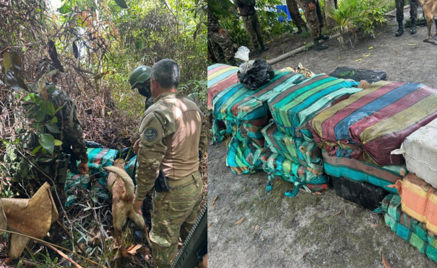 Imagem colorida mostra fotos do momento em que policiais encontrar drogas abandonadas em área de mata