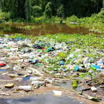 Imagem colorida mostra lixo em rio no município de Anamã