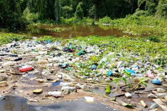 Imagem colorida mostra lixo em rio no município de Anamã