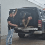 Imagem colorida mostra suspeito de estupro virtual chegando na delegacia se Santo Antônio do Içá