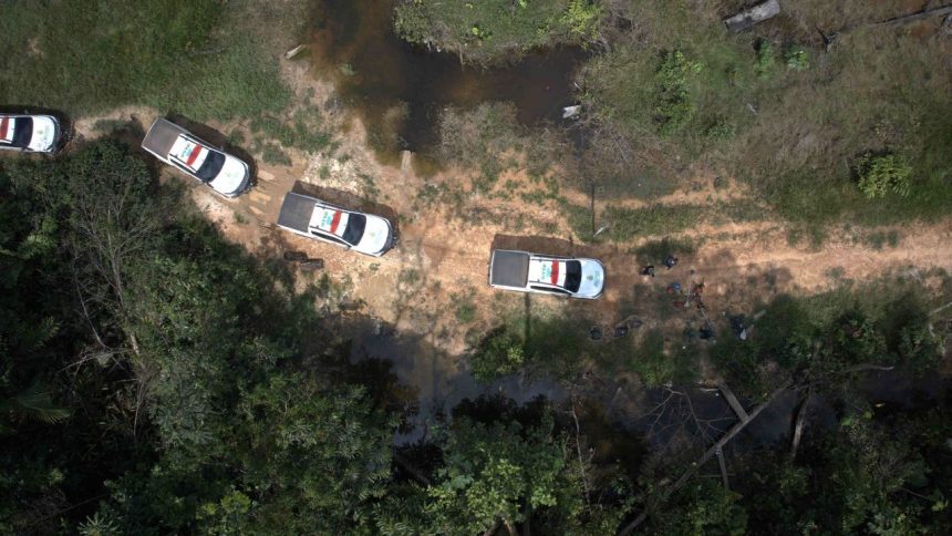 Ipaam aplica multa de R$ 5,4 milhões por desmatamento na Floresta Estadual de Tapauá