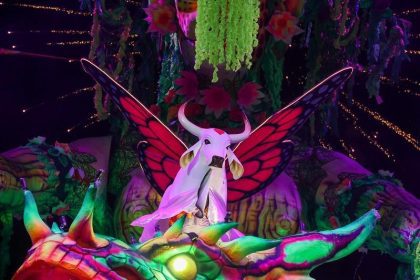 Boi Garantido abre apresentação no Festival de 2025