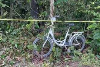 Imagem colorida mostra uma bicicleta na AM-010