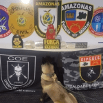 Imagem colorida mostra cadela Athena com material apreendido em saca de farinha