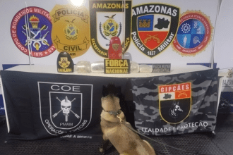 Imagem colorida mostra cadela Athena com material apreendido em saca de farinha