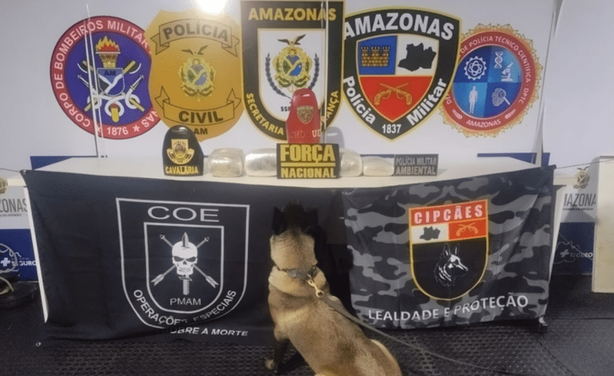 Imagem colorida mostra cadela Athena com material apreendido em saca de farinha