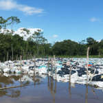 Imagem colorida mostra lixão em território peruano que afeta águas em território brasileiro