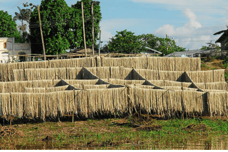 Subvenção Juta e Malva