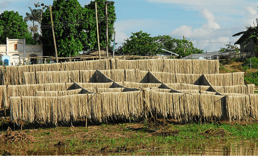 Subvenção Juta e Malva