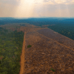 Imagem colorida mostra área desmatada na Amazônia