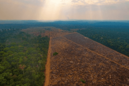 Imagem colorida mostra área desmatada na Amazônia