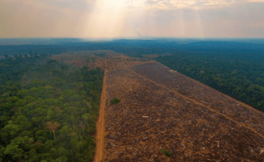 Imagem colorida mostra área desmatada na Amazônia
