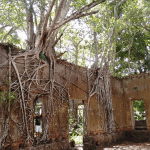 Imagem colorida mostra ruínas de Paricatuba