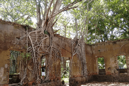 Imagem colorida mostra ruínas de Paricatuba