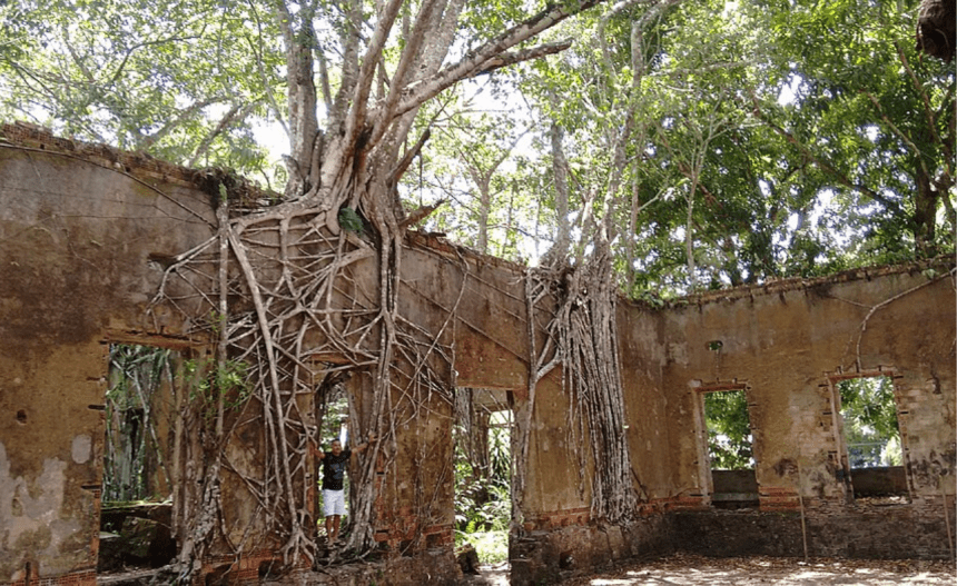 Imagem colorida mostra ruínas de Paricatuba