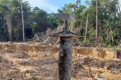 Antena Starlink instalada em tronco de árvore em área de garimpo no Amazonas.