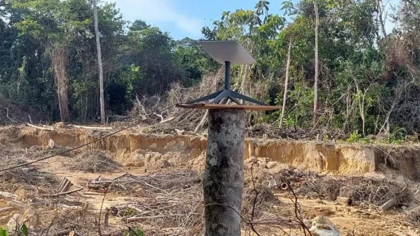 Antena Starlink instalada em tronco de árvore em área de garimpo no Amazonas.