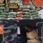 Apreensão de drogas: Pacotes de substâncias ilícitas apreendidos com a Força Nacional.