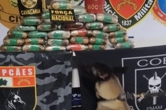Apreensão de drogas: Pacotes de substâncias ilícitas apreendidos com a Força Nacional.