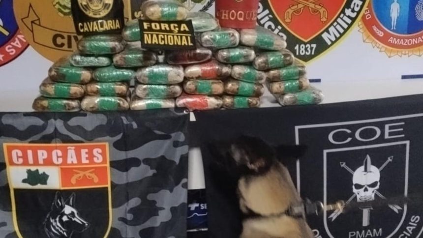 Apreensão de drogas: Pacotes de substâncias ilícitas apreendidos com a Força Nacional.