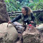 Arqueóloga escovando urna funerária milenar descoberta após queda de árvore.