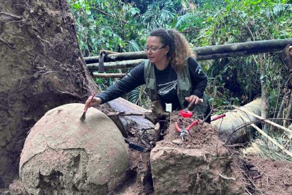 Arqueóloga escovando urna funerária milenar descoberta após queda de árvore.