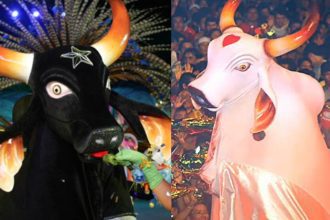 Pesquisa revela perfil de torcedoresBoi-Bumbá Garantido e Caprichoso de Parintins em Manaus, Amazonas, Brasil.