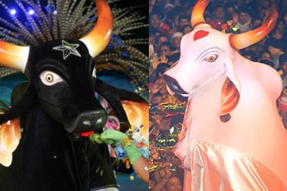 Pesquisa revela perfil de torcedoresBoi-Bumbá Garantido e Caprichoso de Parintins em Manaus, Amazonas, Brasil.